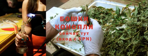 ешки Богданович