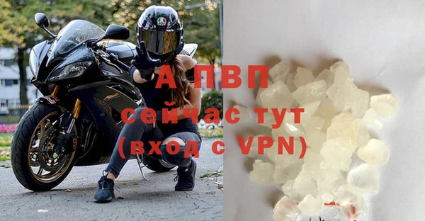 стаф Богородицк