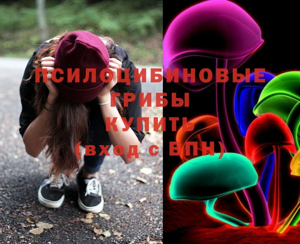 стаф Богородицк
