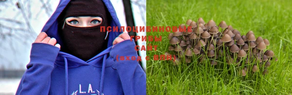 ешки Богданович