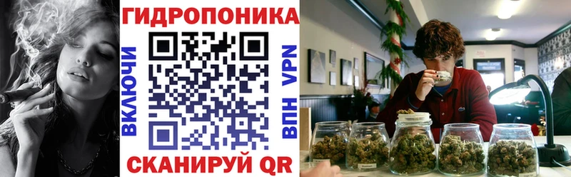 Конопля AK-47 Чита